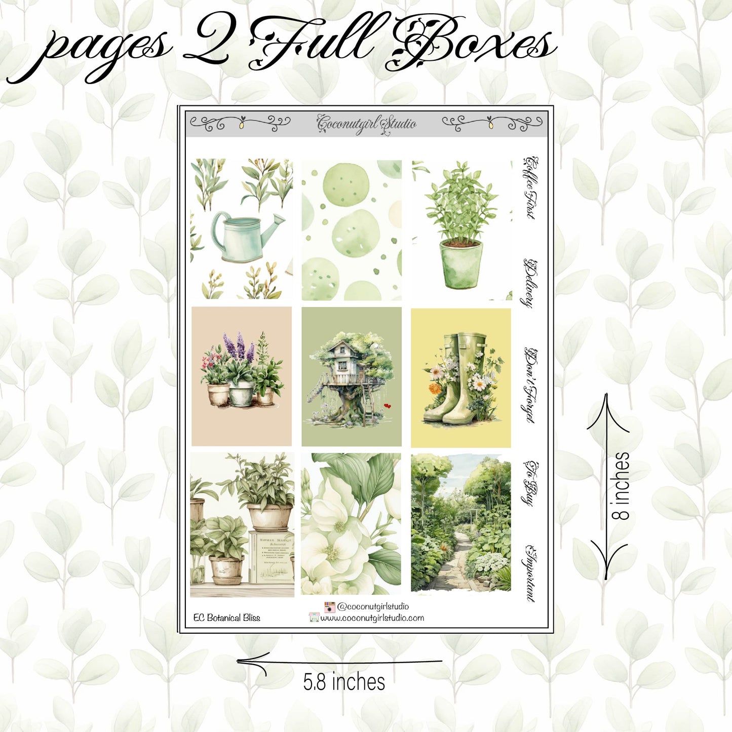 Botanical Bliss