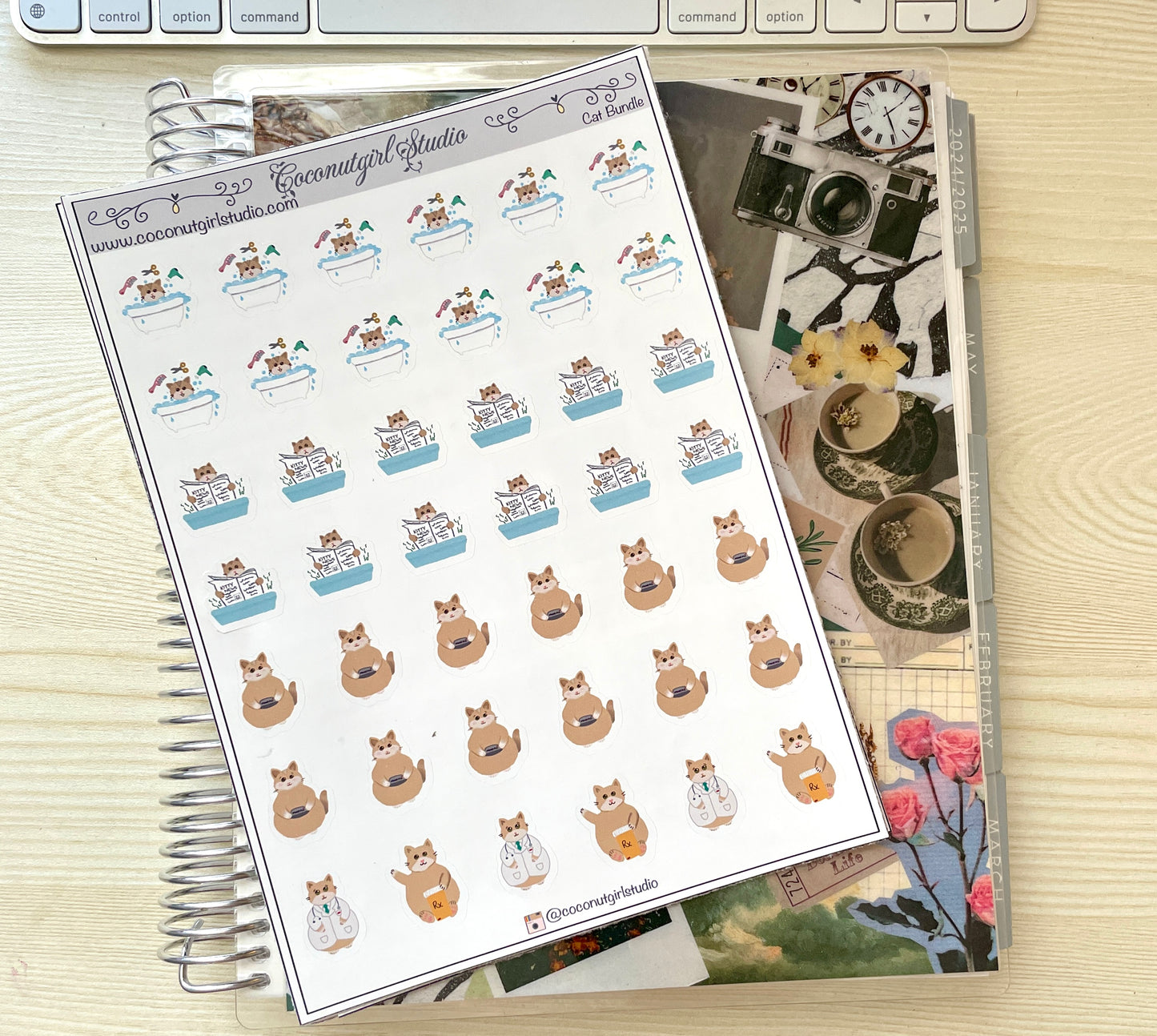 Cat Bundle planner stickers functional
