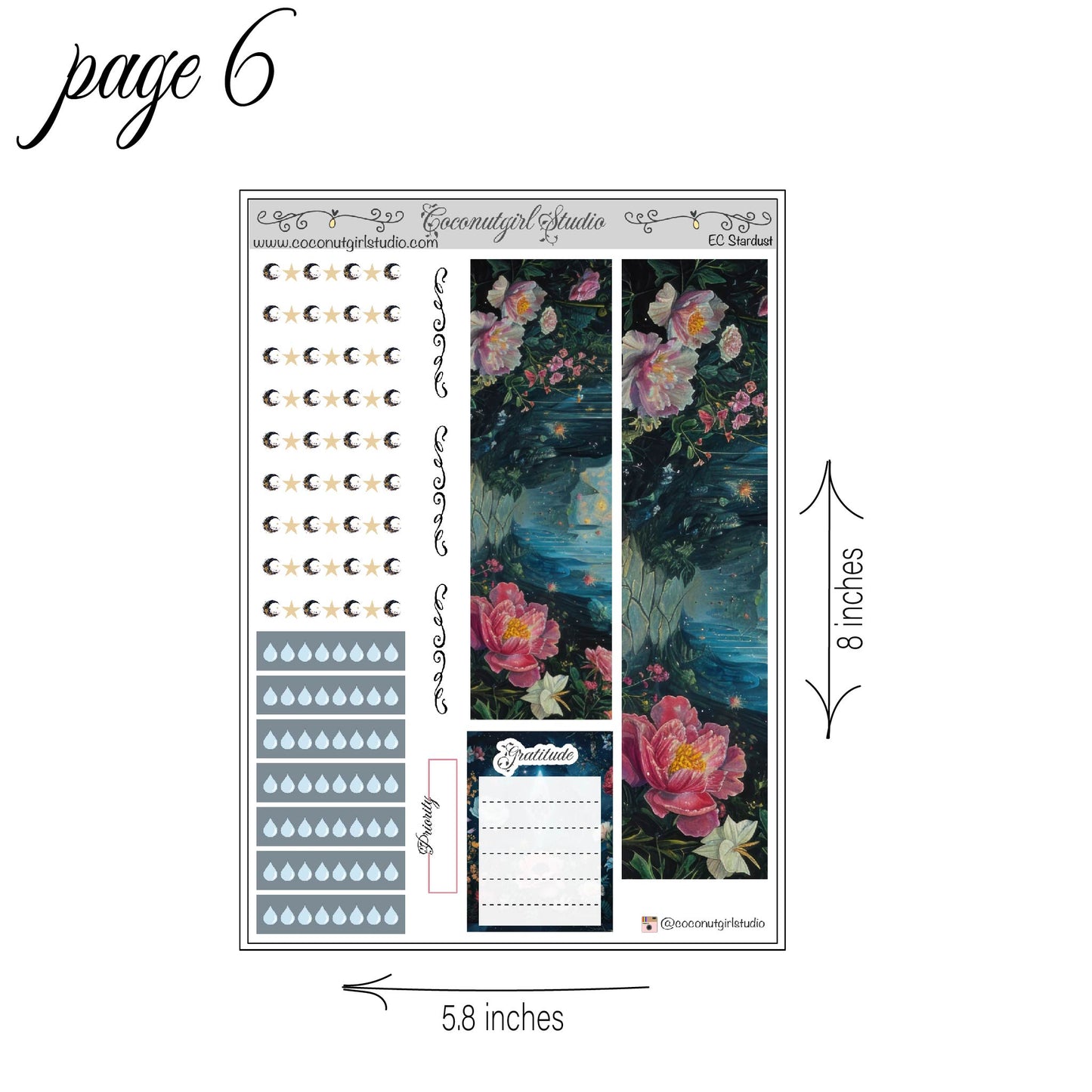 Stardust Weekly Kit planner stickers