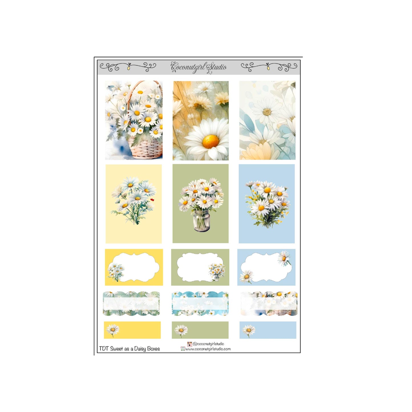 Two Dollar Tuesday Sweet as a Daisy Boxes