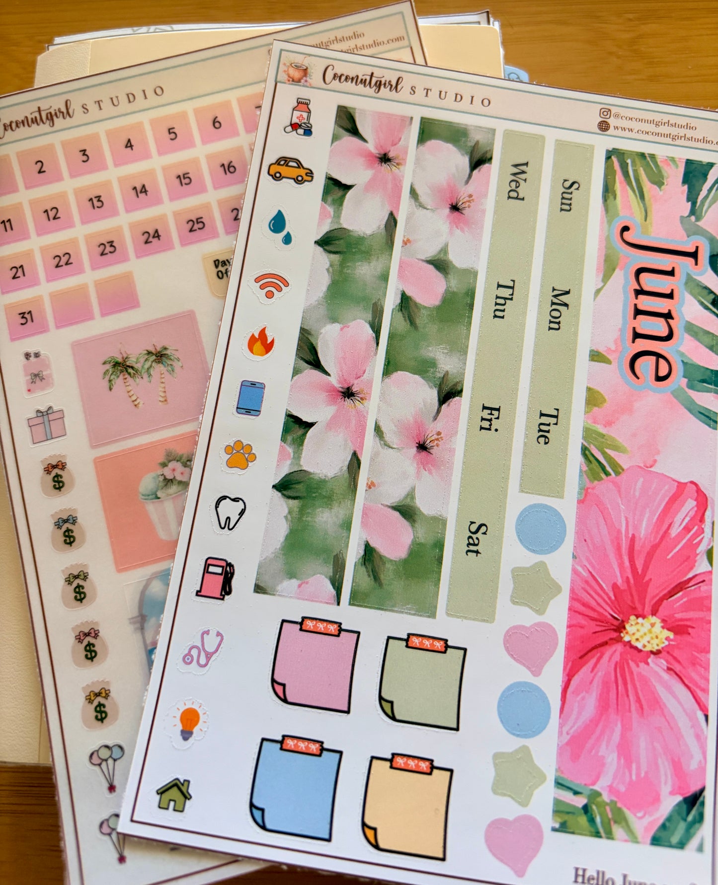 June Monthly Planner Sticker Kit – Tropical Hibiscus Theme