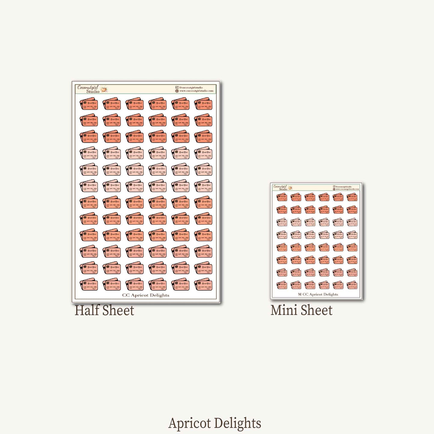 Credit Card Tracker Sticker Kit