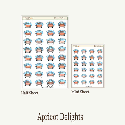 Car Wash Planner Stickers – Car Wash Reminder Labels for Weekly Planners & Journals