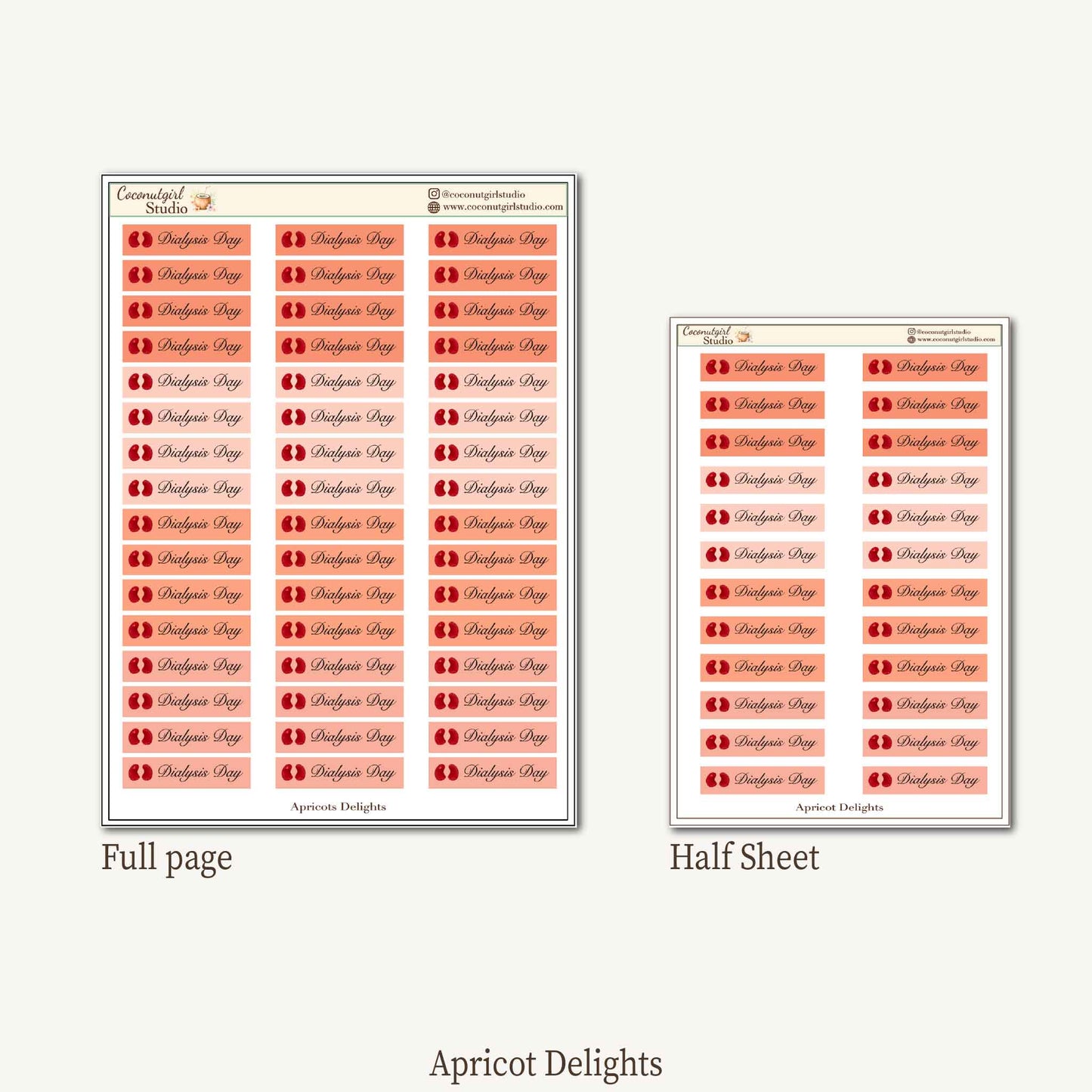 Dialysis Day Planner Stickers