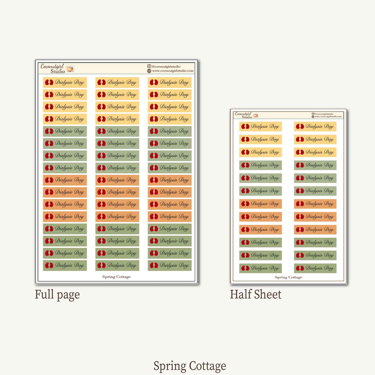 Dialysis Day Planner Stickers