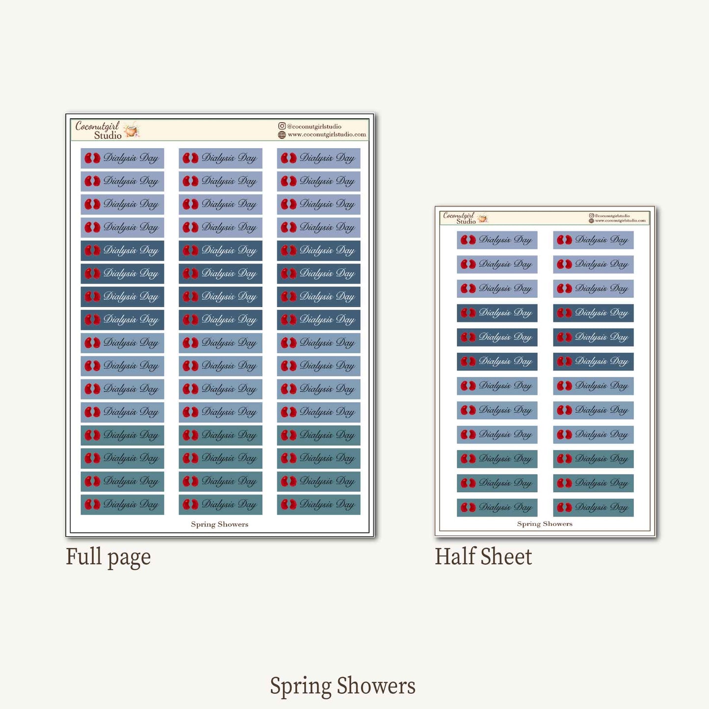Dialysis Day Planner Stickers