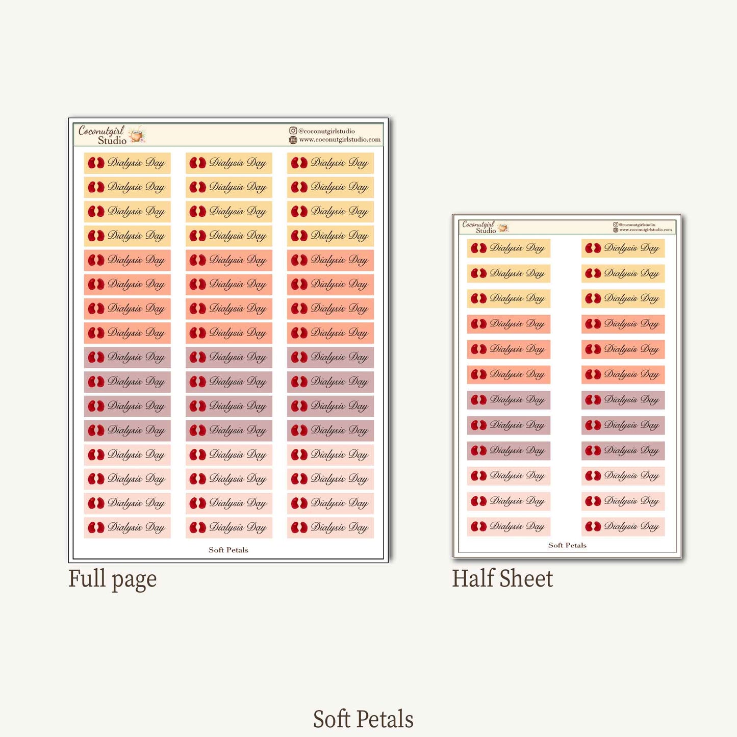 Dialysis Day Planner Stickers