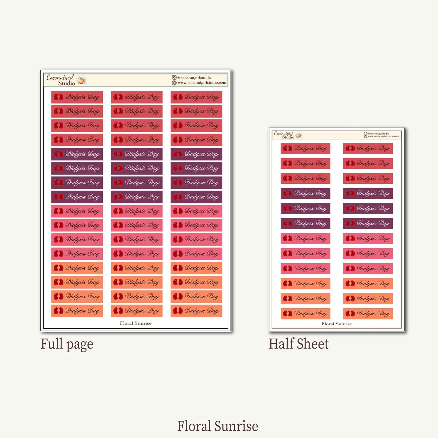 Dialysis Day Planner Stickers