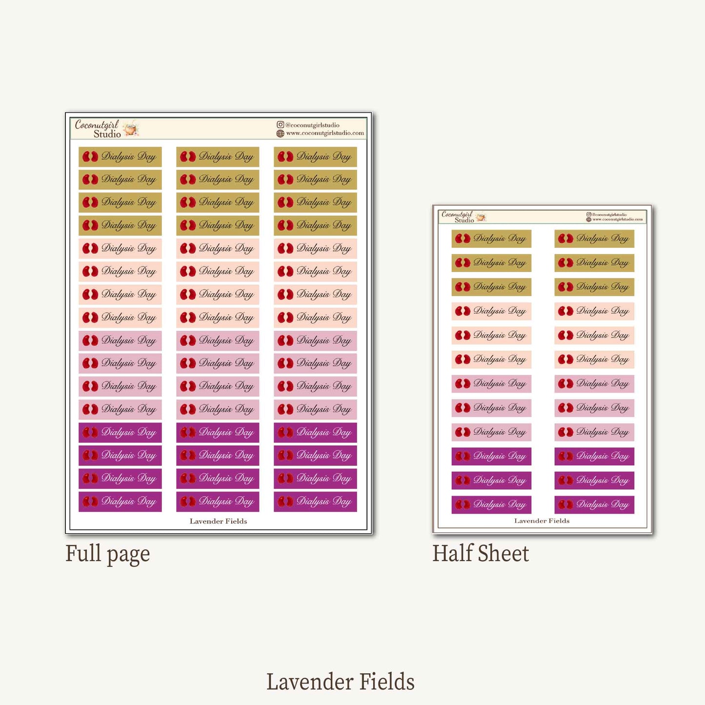 Dialysis Day Planner Stickers