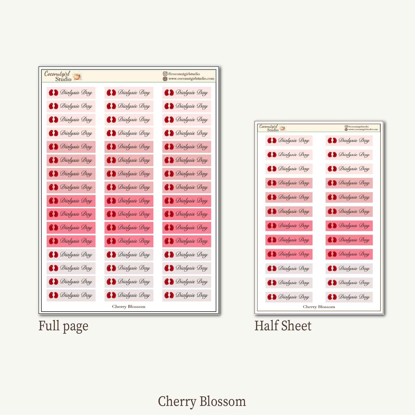 Dialysis Day Planner Stickers