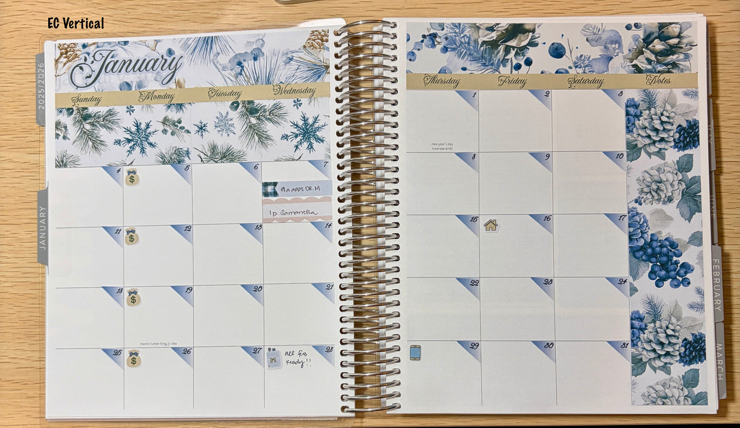 January Monthly Planner Sticker Kit | Winter Blue Planner Stickers