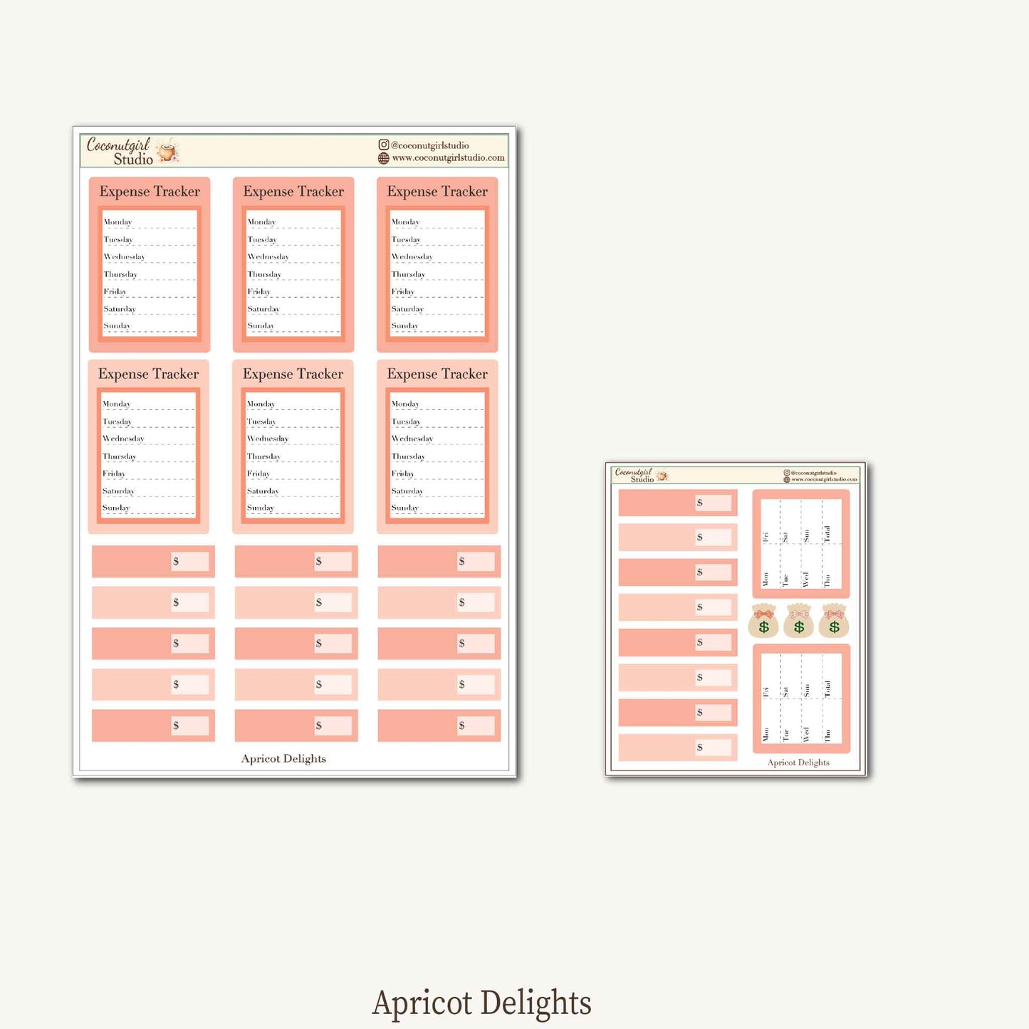 Expense Tracker & Budgeting Sticker Kit