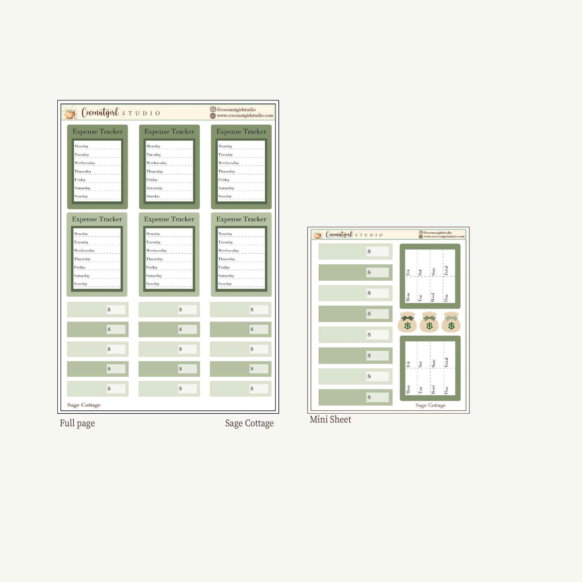 Expense Tracker & Budgeting Sticker Kit