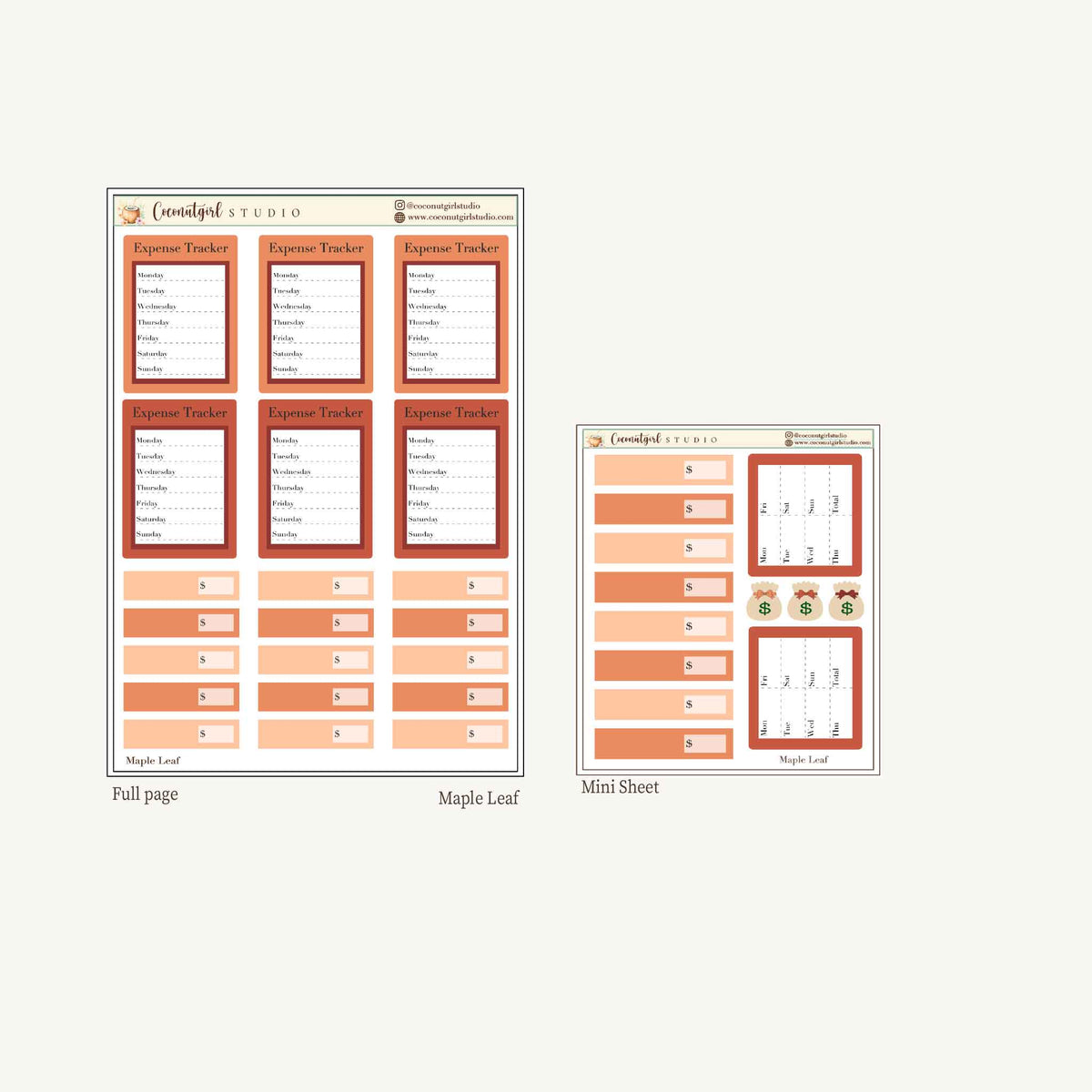 Expense Tracker & Budgeting Sticker Kit