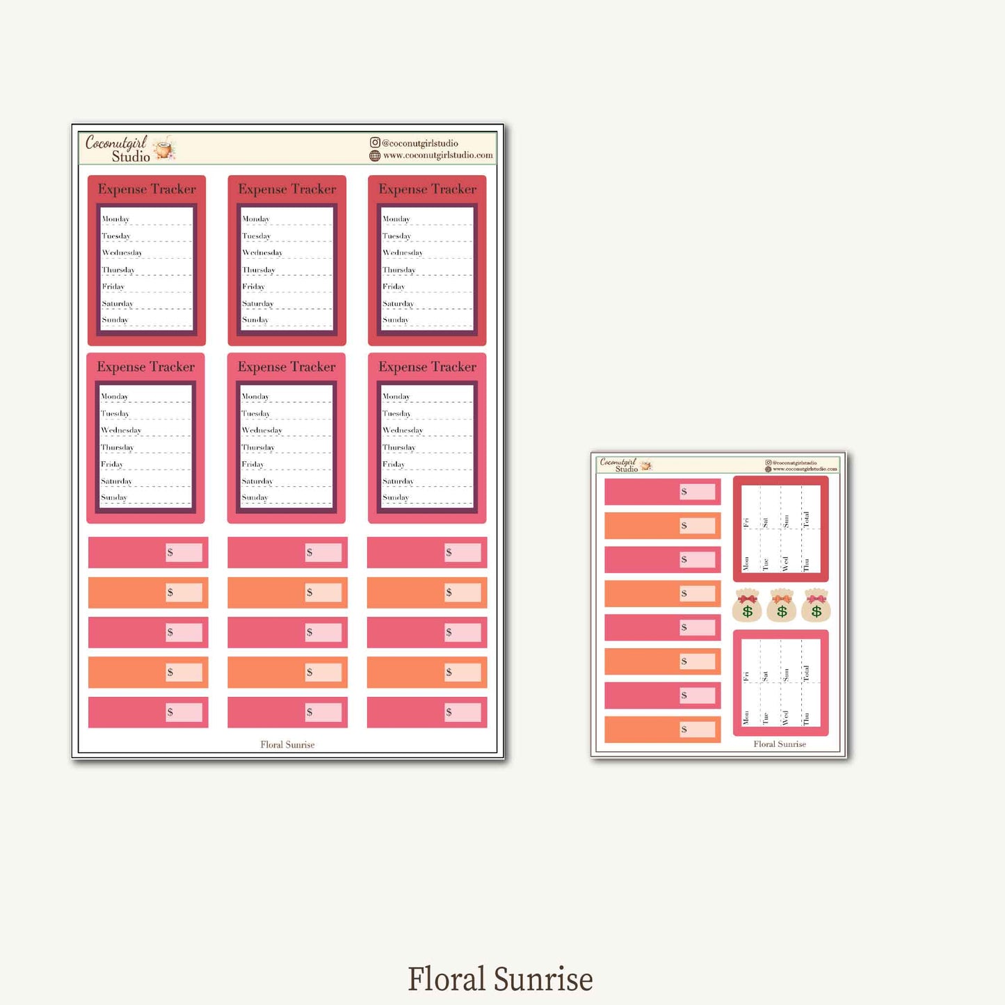 Expense Tracker & Budgeting Sticker Kit