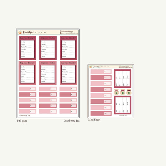 Expense Tracker & Budgeting Sticker Kit