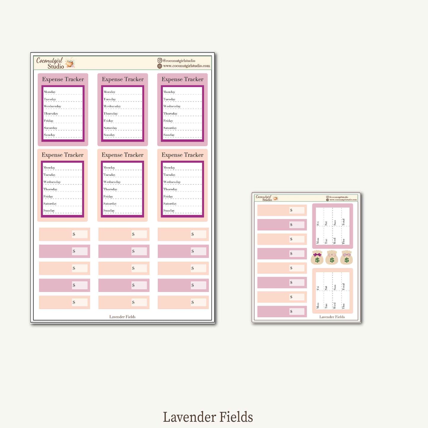 Expense Tracker & Budgeting Sticker Kit