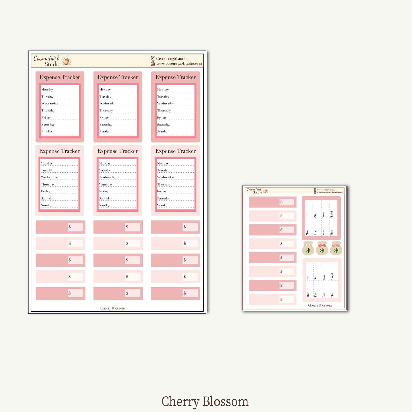 Expense Tracker & Budgeting Sticker Kit