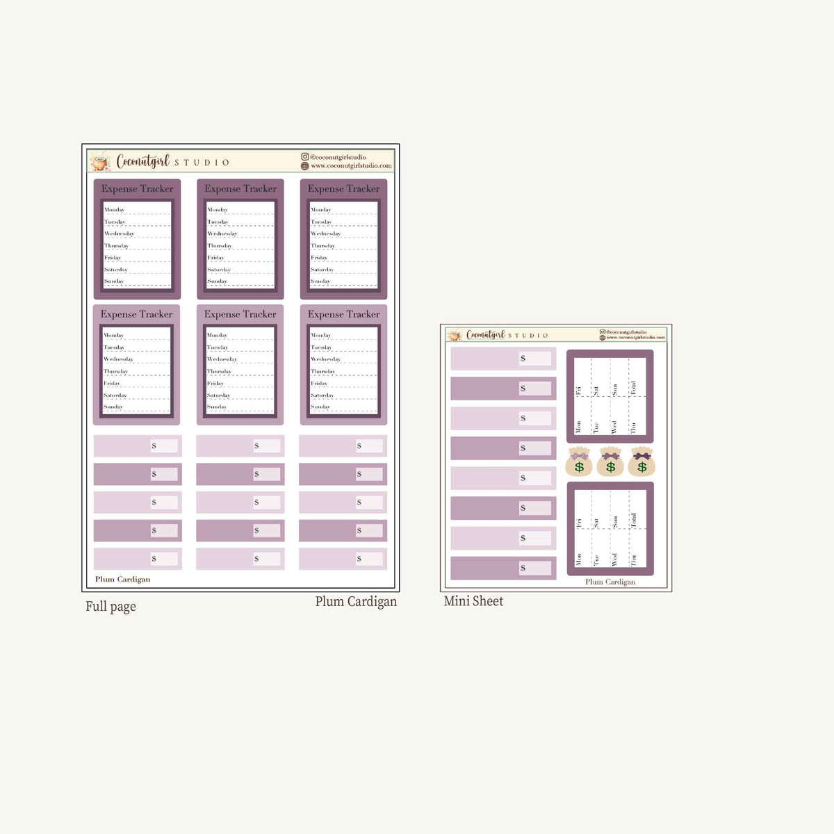 Expense Tracker & Budgeting Sticker Kit
