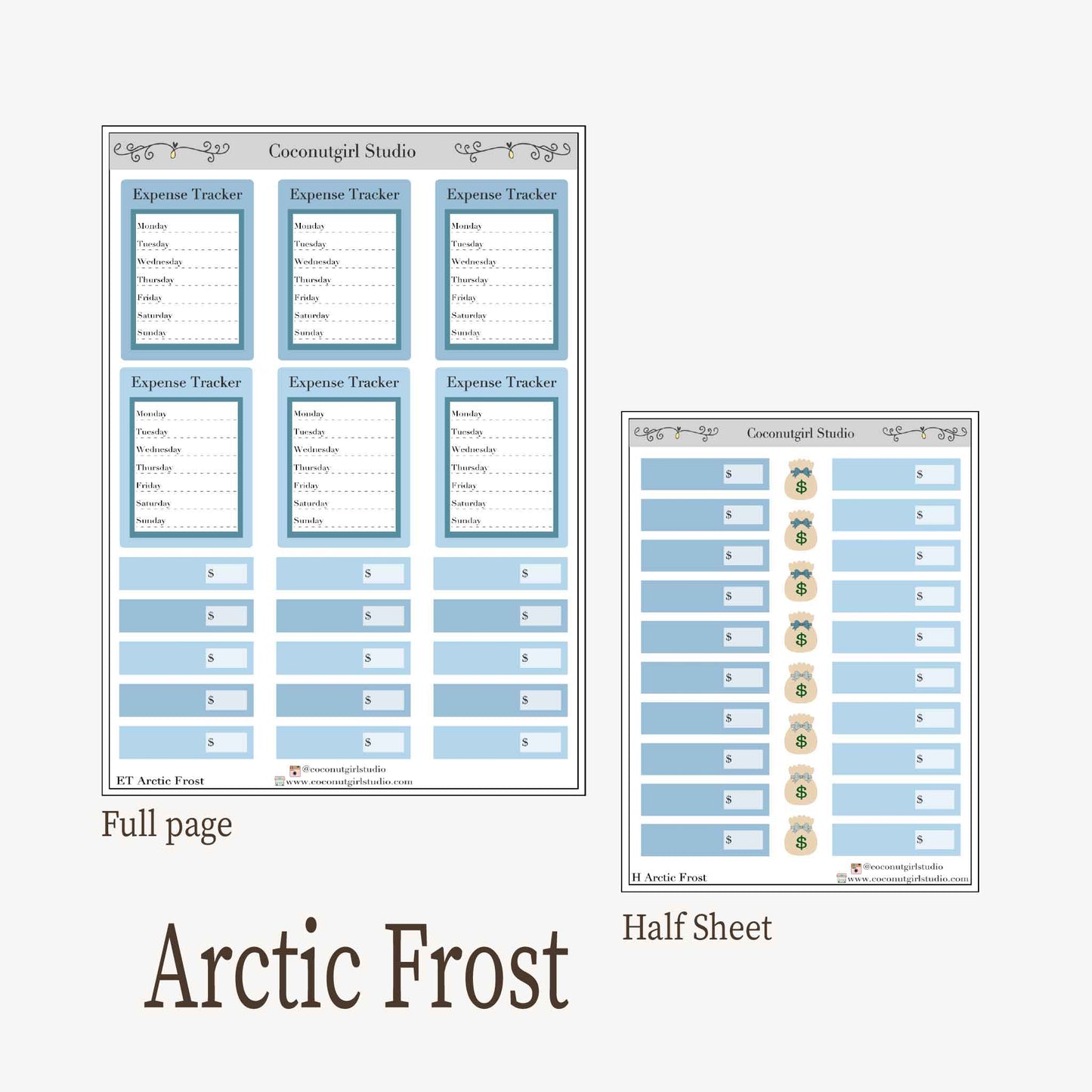 Expense Tracker & Budgeting Sticker Kit