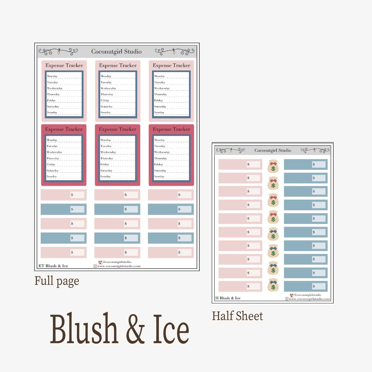 Expense Tracker & Budgeting Sticker Kit