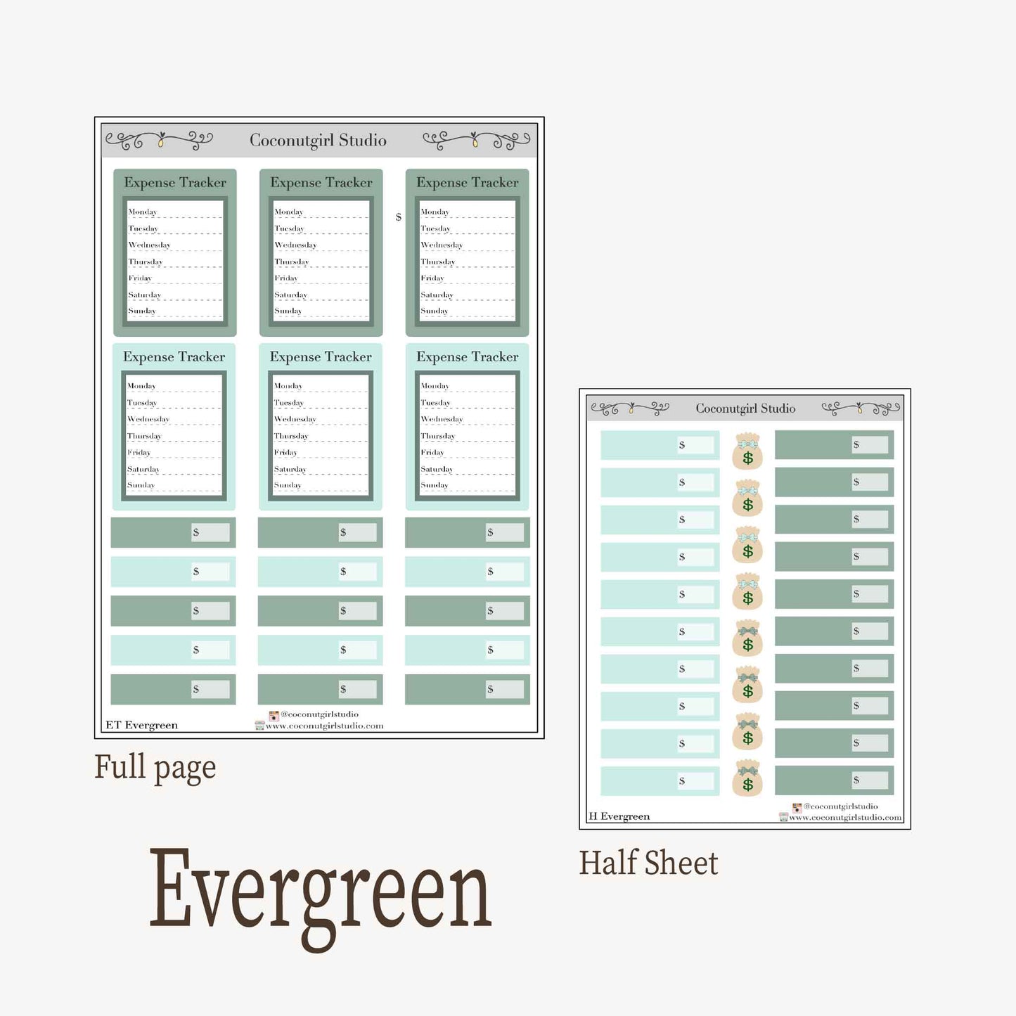 Expense Tracker & Budgeting Sticker Kit