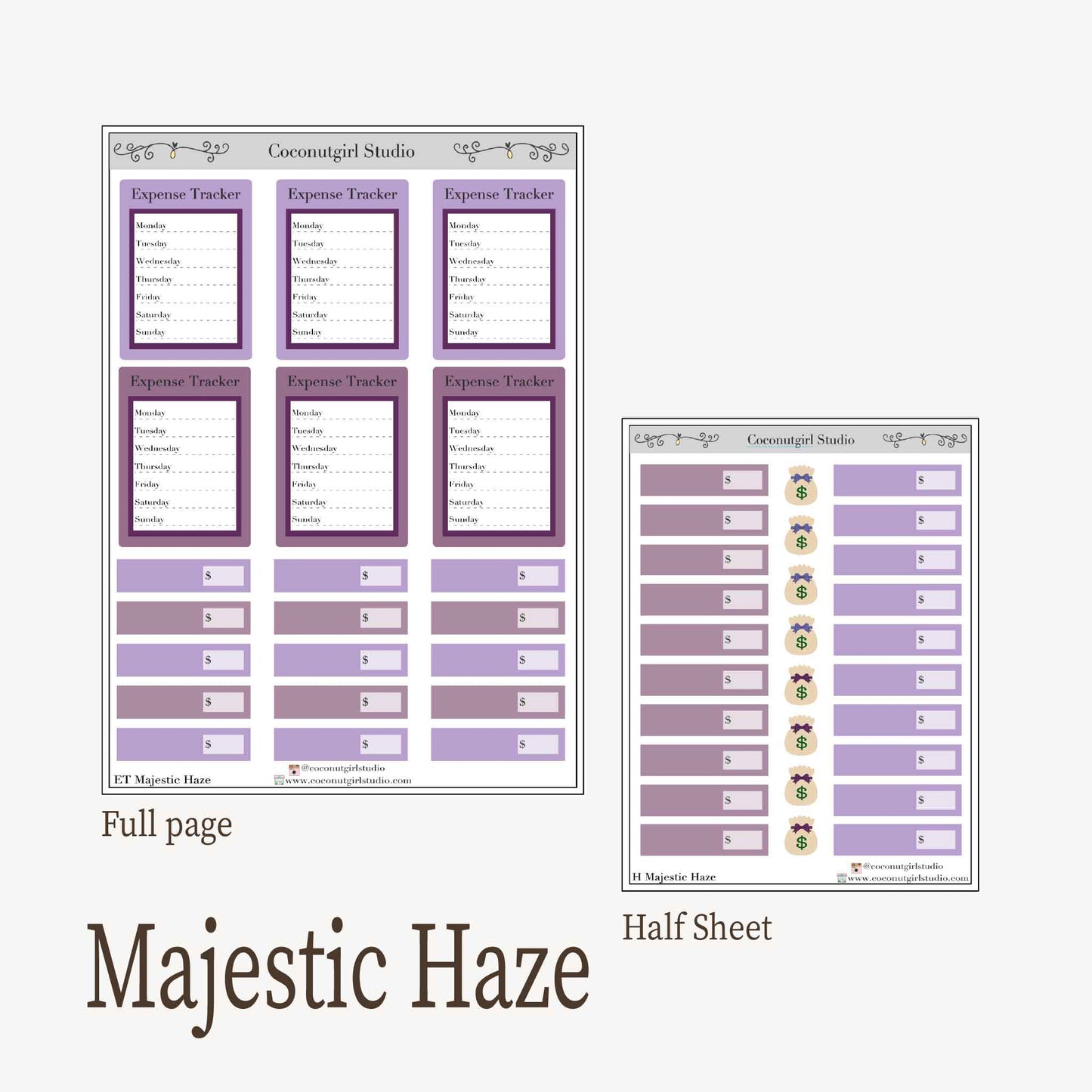 Expense Tracker & Budgeting Sticker Kit