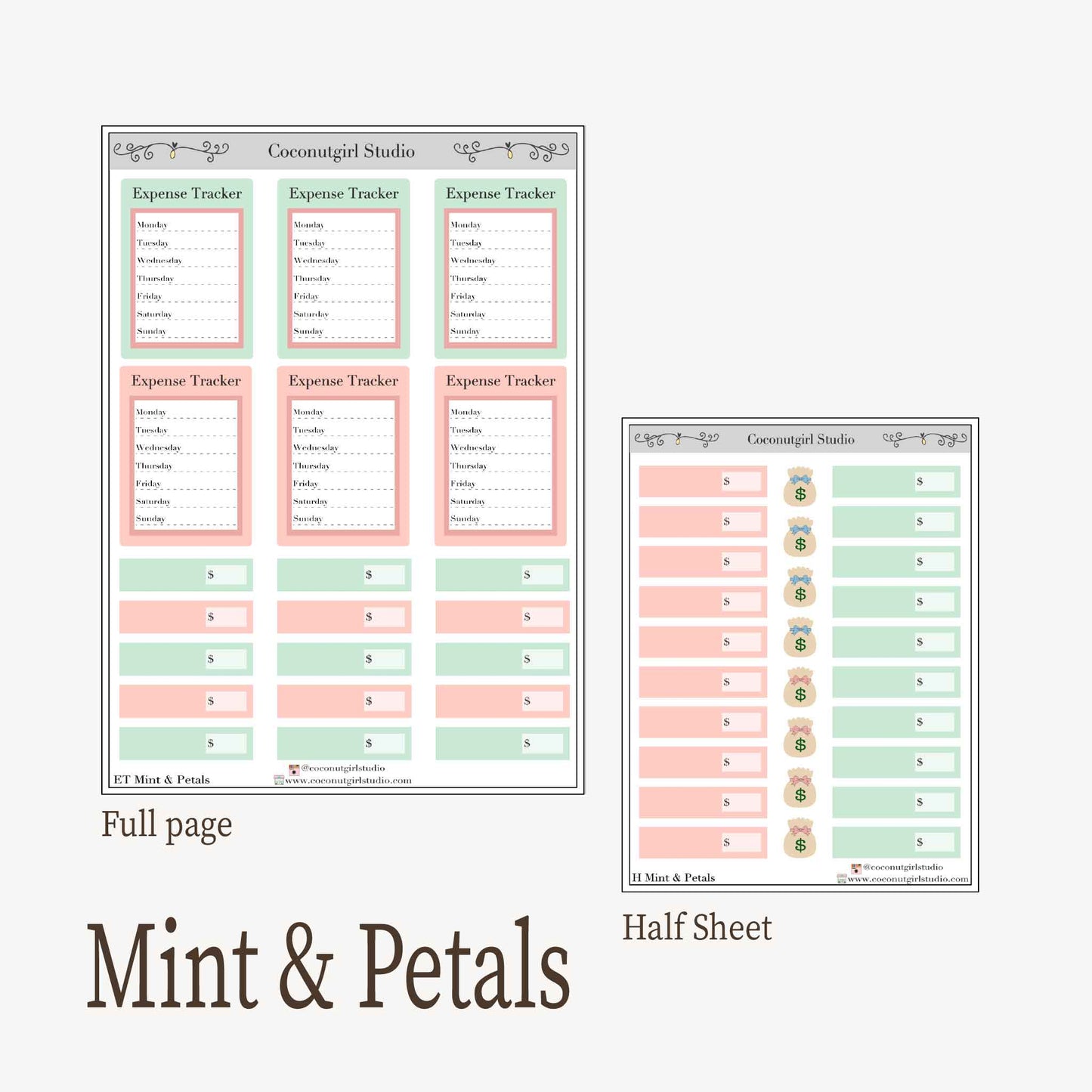 Expense Tracker & Budgeting Sticker Kit