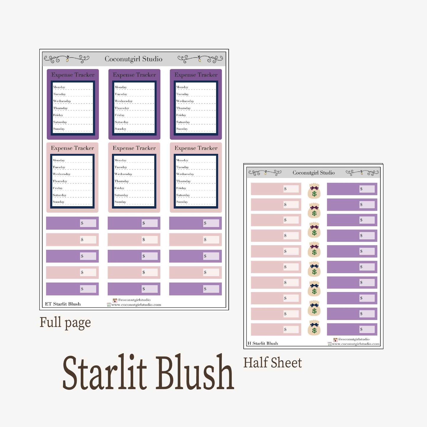 Expense Tracker & Budgeting Sticker Kit