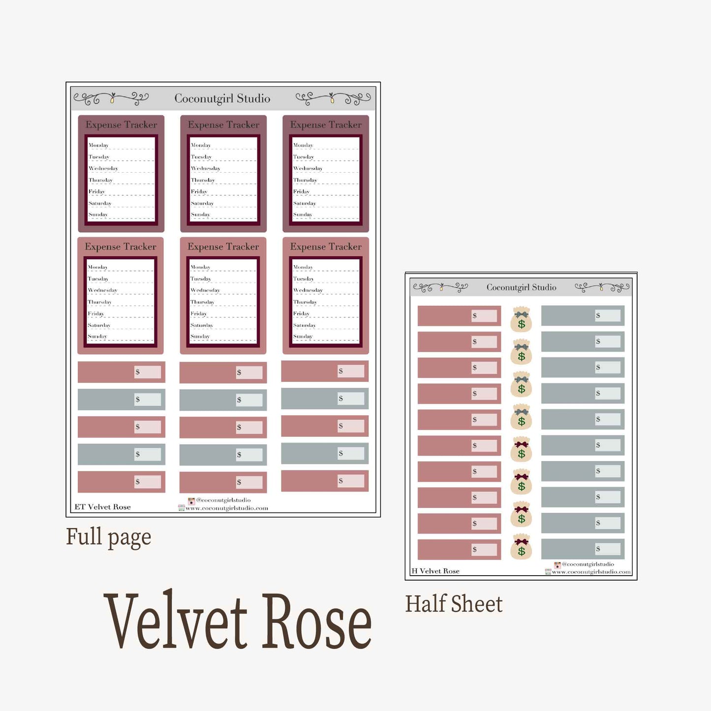 Expense Tracker & Budgeting Sticker Kit