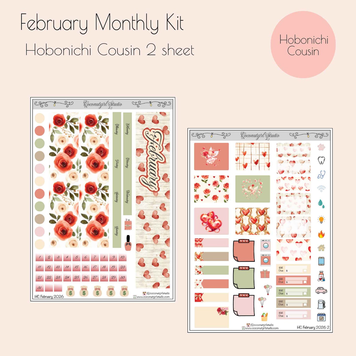 February Monthly Planner Sticker Kit | Red & Pink Valentine Aesthetic