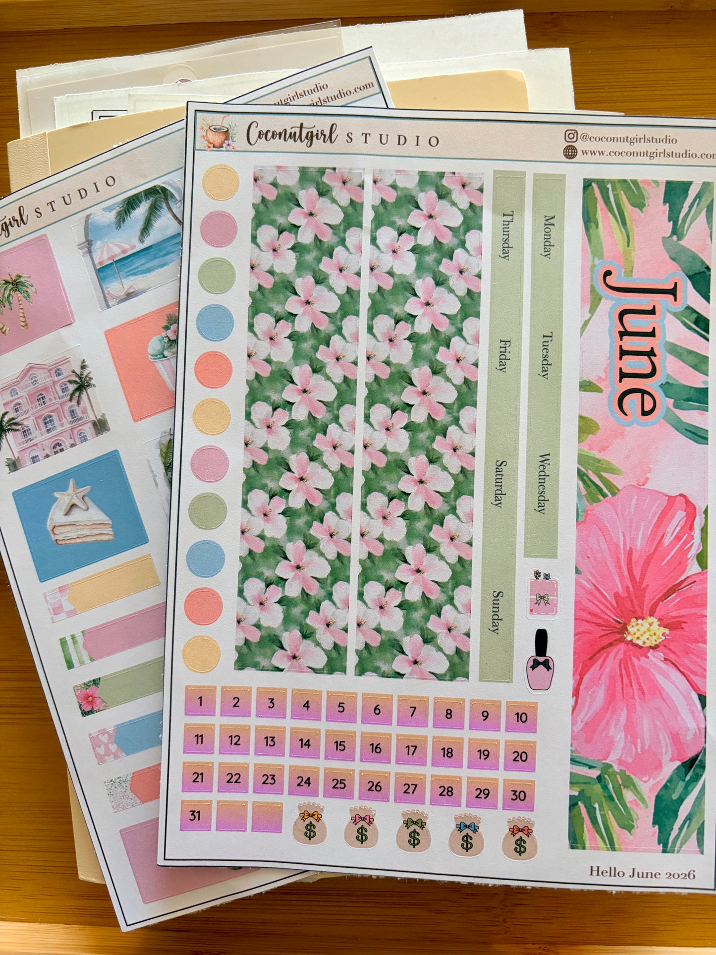 June Monthly Planner Sticker Kit – Tropical Hibiscus Theme
