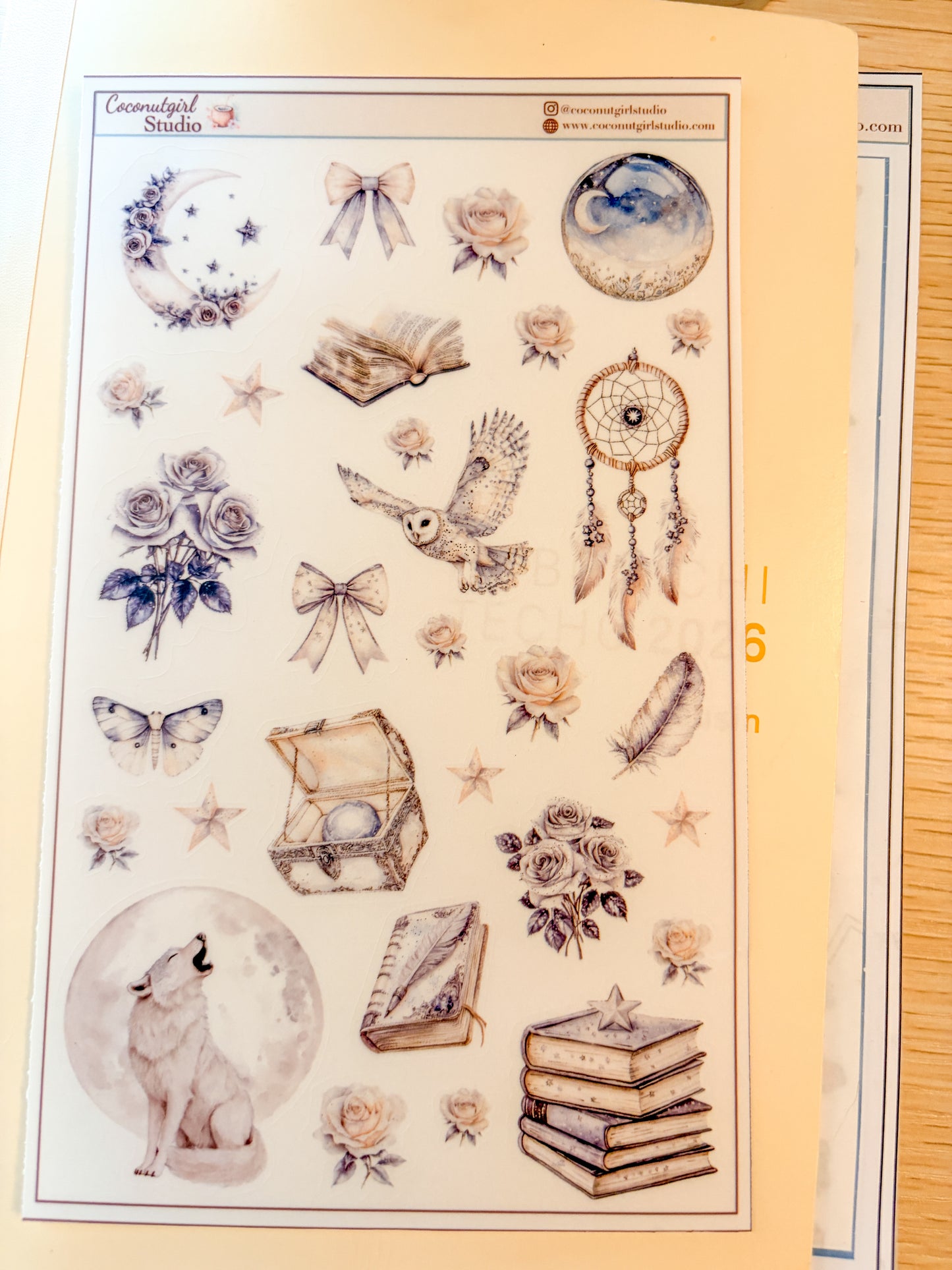 Neutral Aesthetic Clear Sticker Sheet – Celestial, Books & Floral Planner Stickers Starlit Serenade