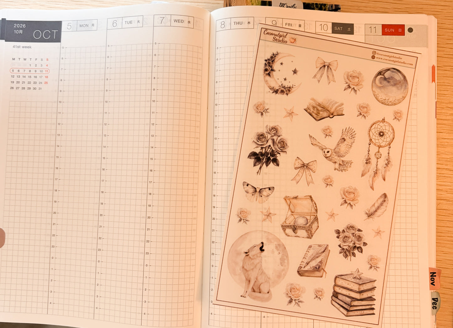 Neutral Aesthetic Clear Sticker Sheet – Celestial, Books & Floral Planner Stickers Starlit Serenade