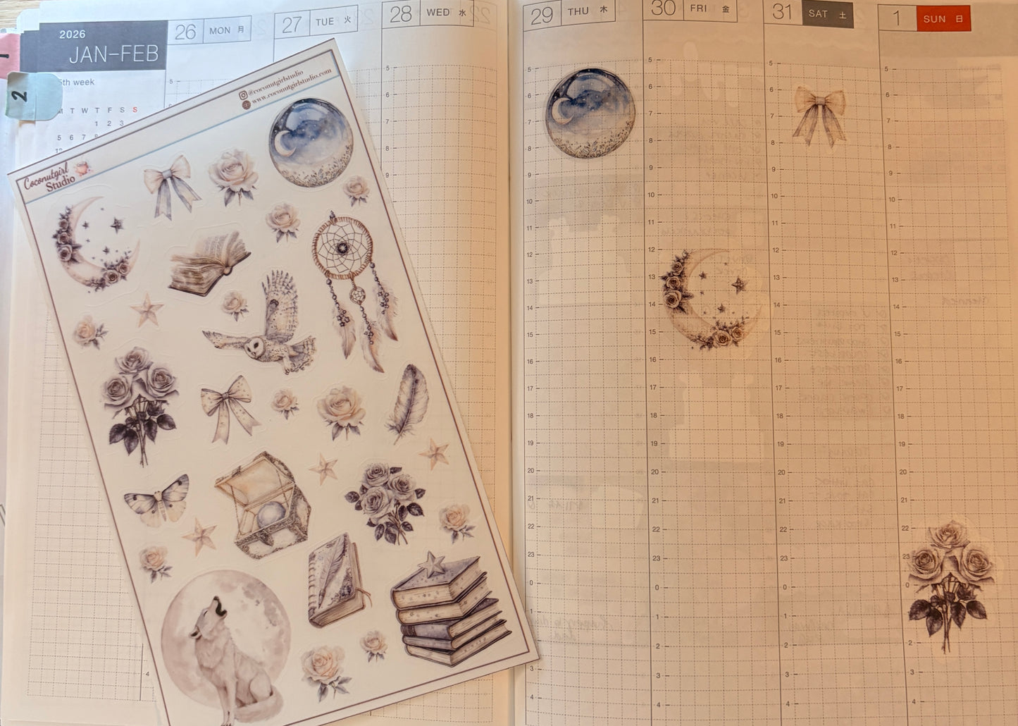 Neutral Aesthetic Clear Sticker Sheet – Celestial, Books & Floral Planner Stickers Starlit Serenade