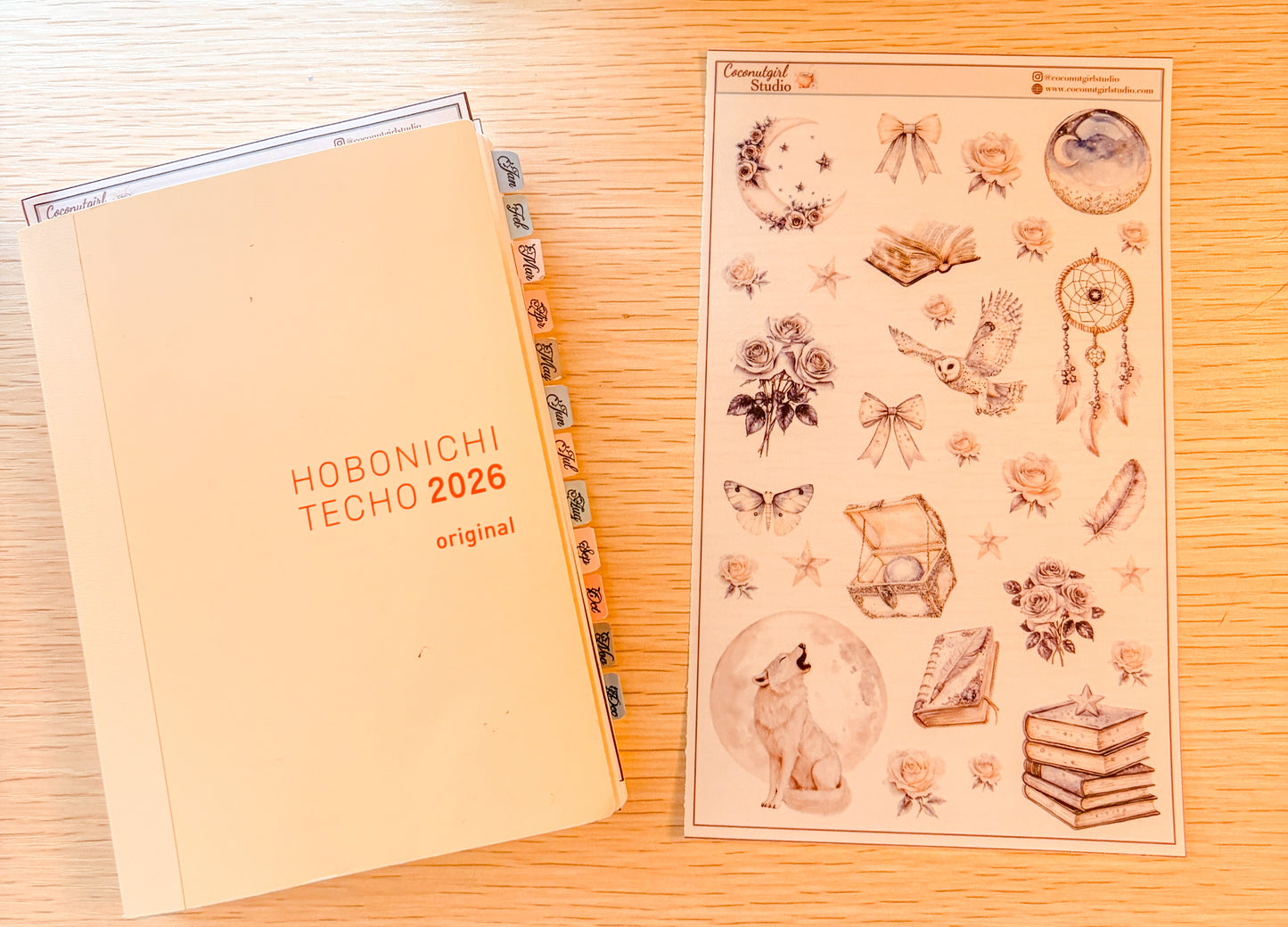 Neutral Aesthetic Clear Sticker Sheet – Celestial, Books & Floral Planner Stickers Starlit Serenade