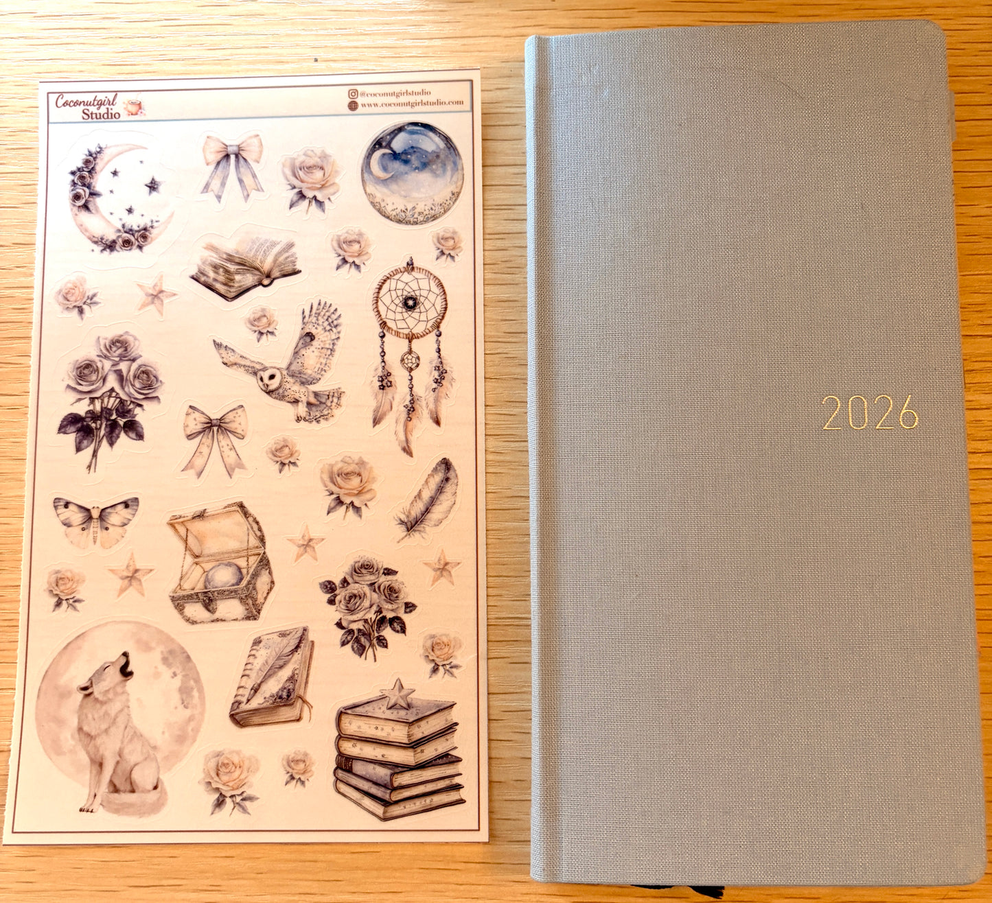 Neutral Aesthetic Clear Sticker Sheet – Celestial, Books & Floral Planner Stickers Starlit Serenade