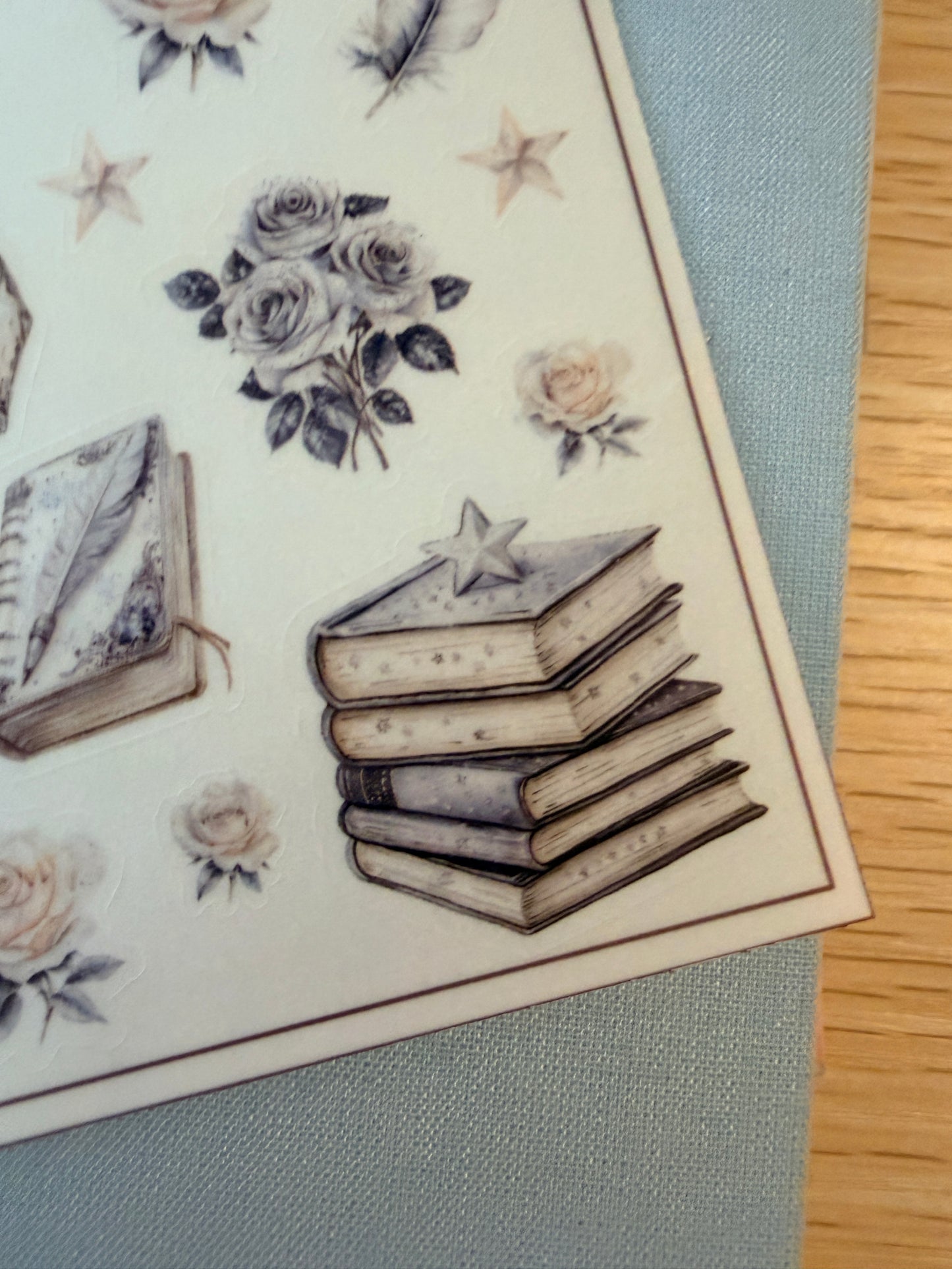 Neutral Aesthetic Clear Sticker Sheet – Celestial, Books & Floral Planner Stickers Starlit Serenade