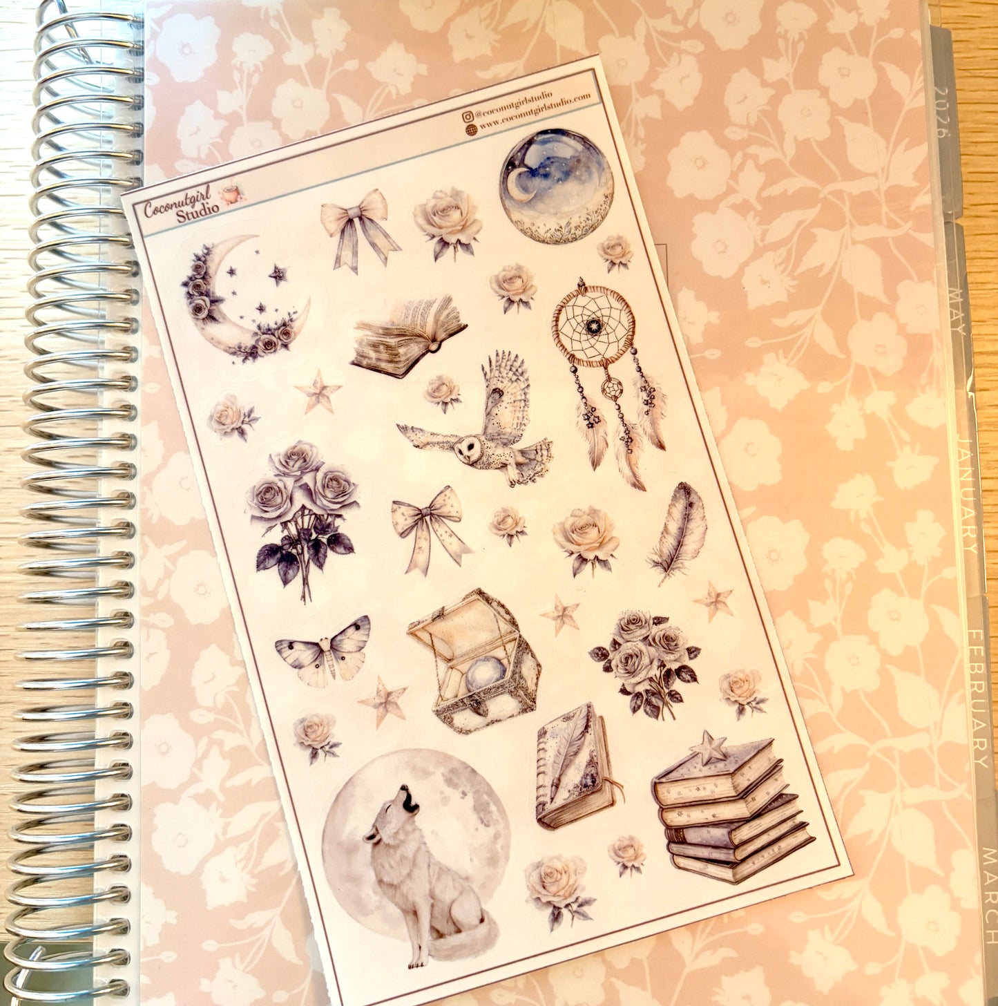 Neutral Aesthetic Clear Sticker Sheet – Celestial, Books & Floral Planner Stickers Starlit Serenade