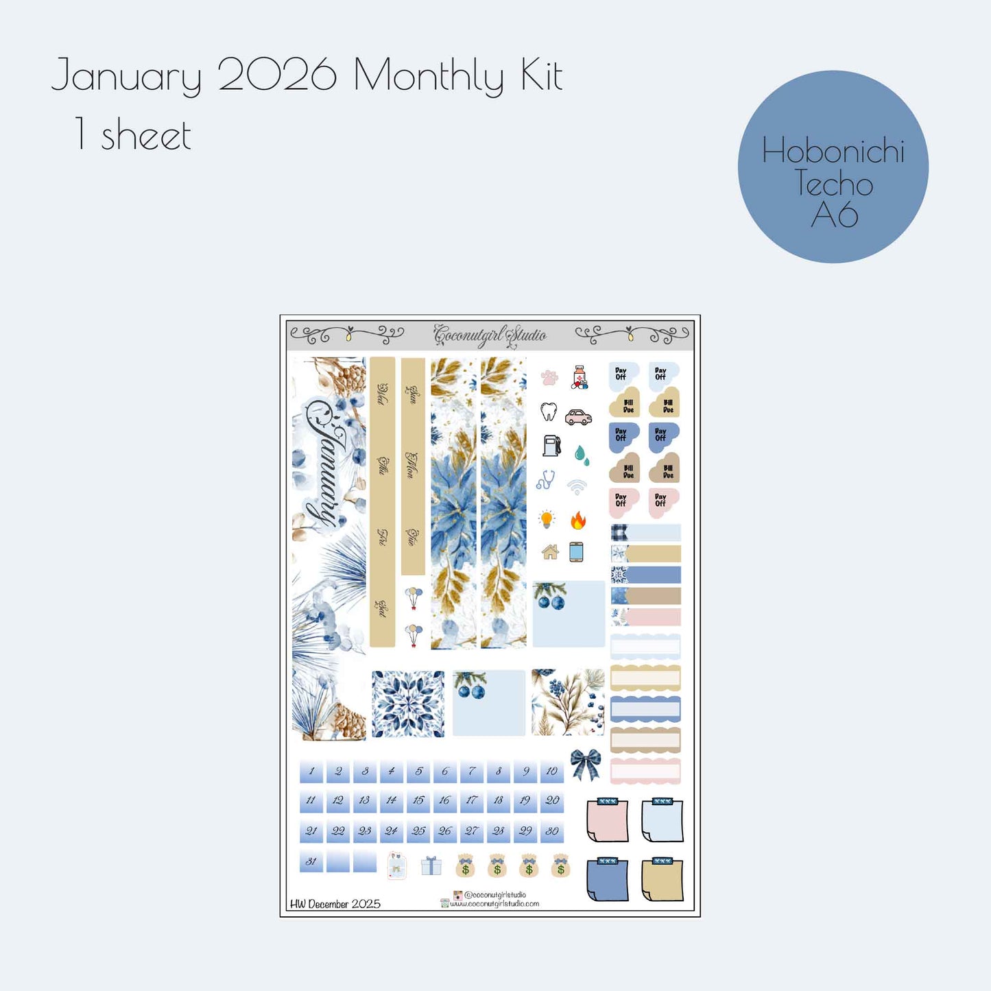 January Monthly Planner Sticker Kit | Winter Blue Planner Stickers