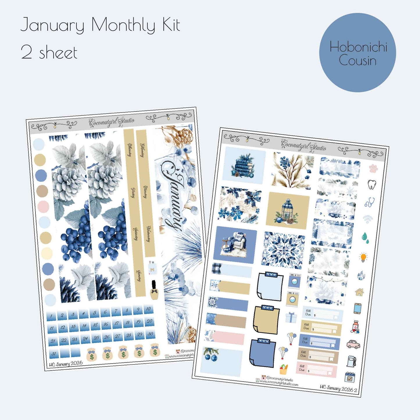 January Monthly Planner Sticker Kit | Winter Blue Planner Stickers
