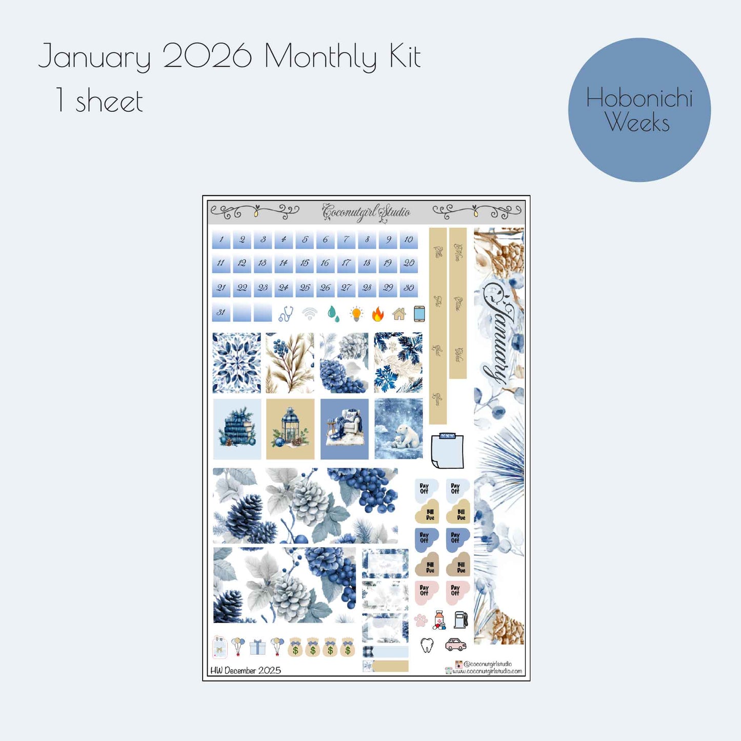 January Monthly Planner Sticker Kit | Winter Blue Planner Stickers