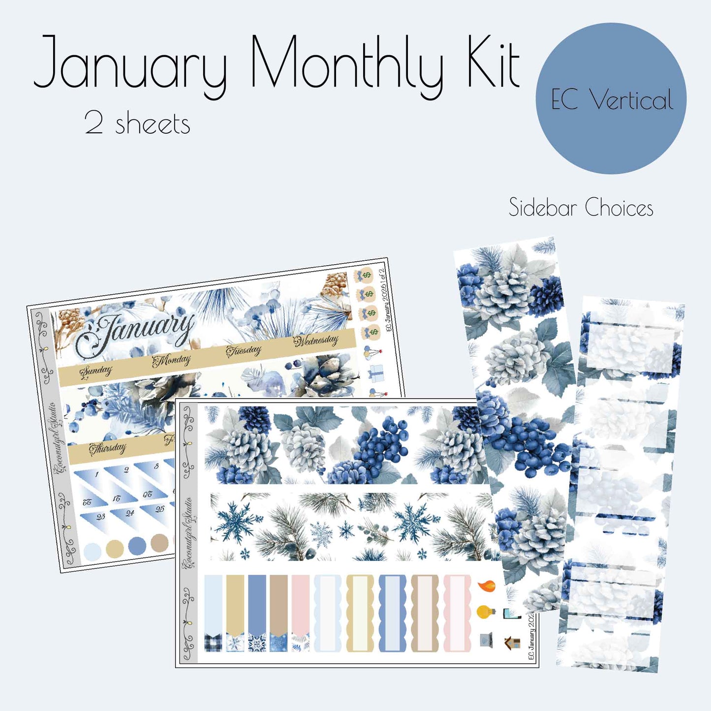 January Monthly Planner Sticker Kit | Winter Blue Planner Stickers