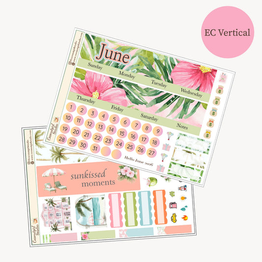 June Monthly Planner Sticker Kit – Tropical Hibiscus Theme