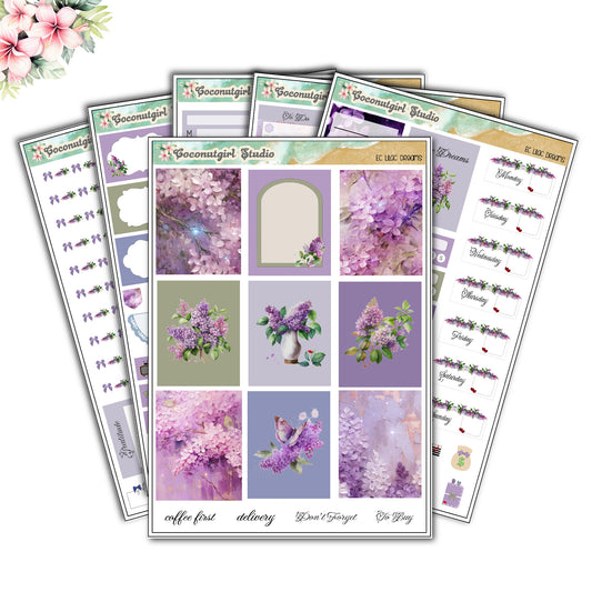 Lilac Dreams