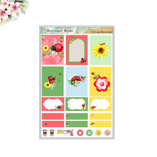Two Dollar Tuesday Little Miracles Boxes