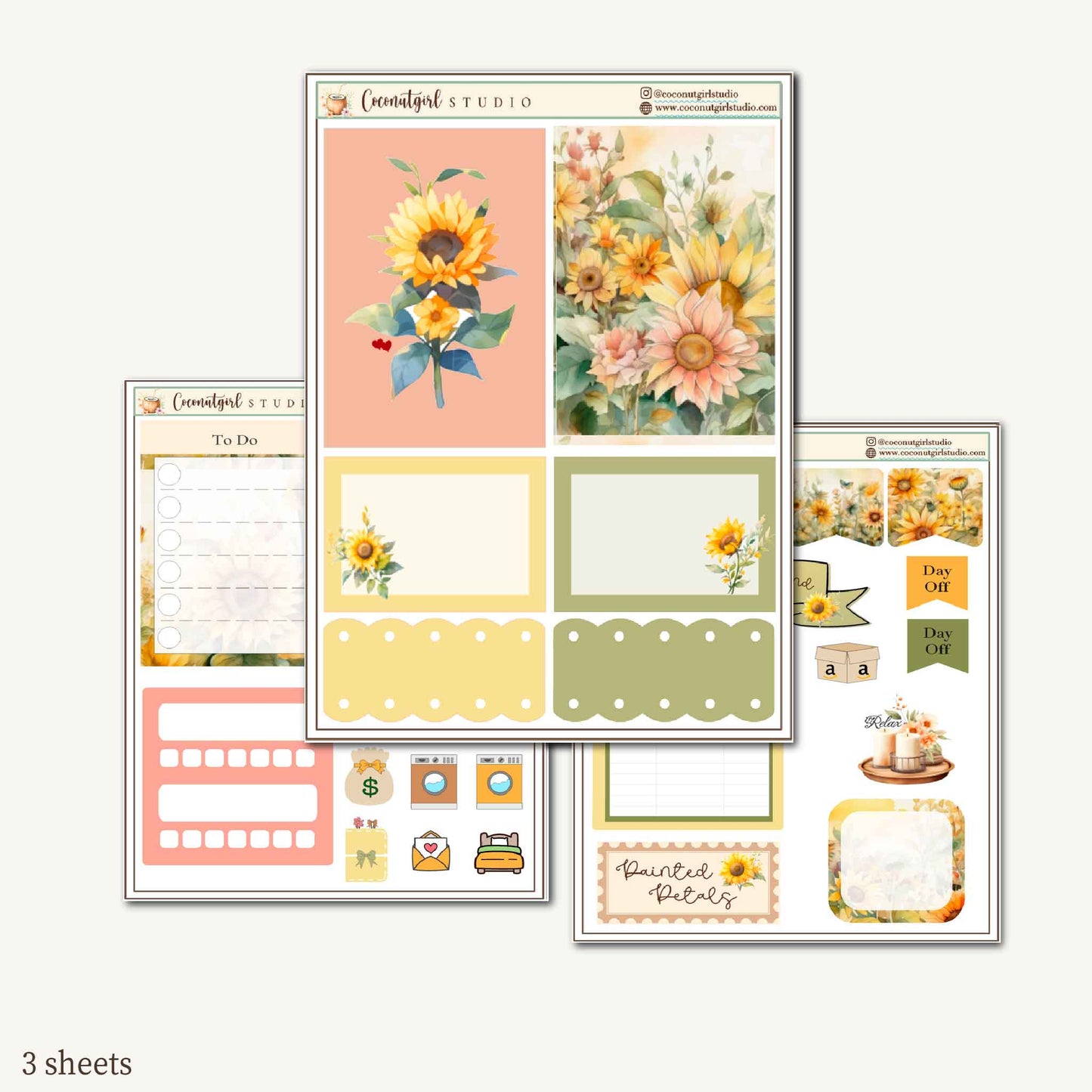 Two Dollar Tuesday Planner Stickers | Decorative Stickers, Functional Planner Stickers| Painted Petals