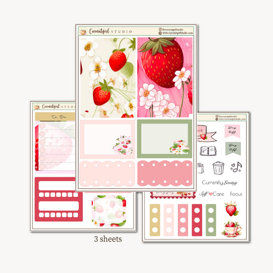 Two Dollar Tuesday Planner Stickers | Decorative Stickers, Functional Planner Stickers| Strawberry Kisses